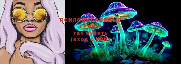 гашик Осташков