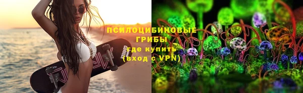 амф Осинники
