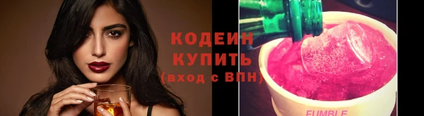 амф Осинники