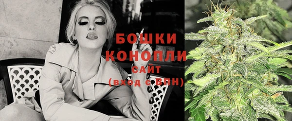 амф Осинники