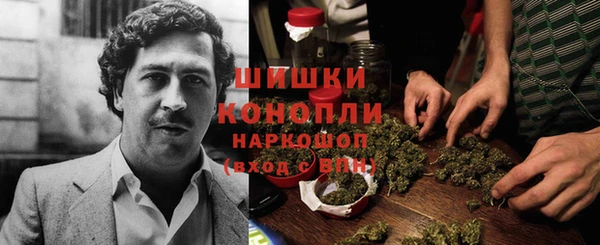 амф Осинники