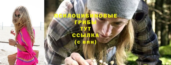 гашик Осташков
