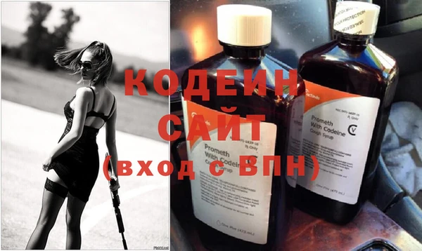 гашик Осташков