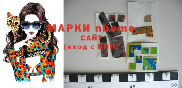 гашик Осташков