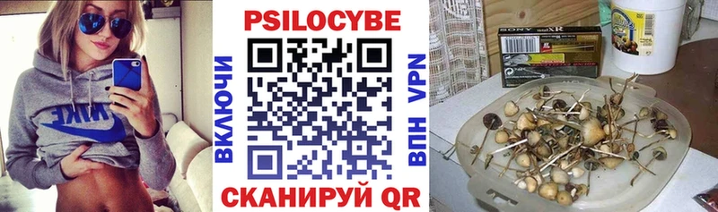 хочу наркоту  Троицк  Псилоцибиновые грибы ЛСД 