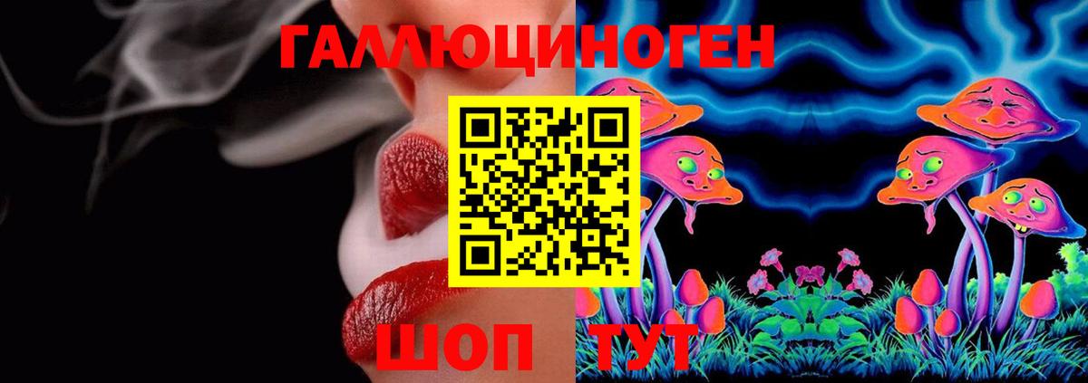 Псилоцибиновые грибы Psilocybe  Вход с VPN  Троицк  Галлюциногенные грибы Psilocybine cubensis 