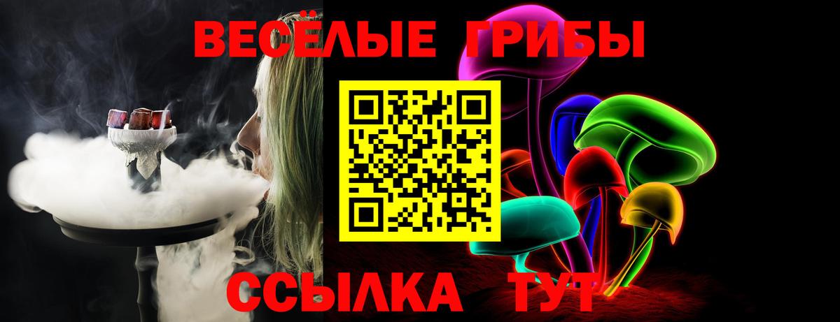 Галлюциногенные грибы Psilocybe Троицк